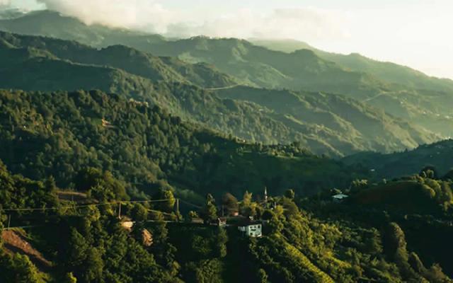 Artvin şehir fotoğrafı