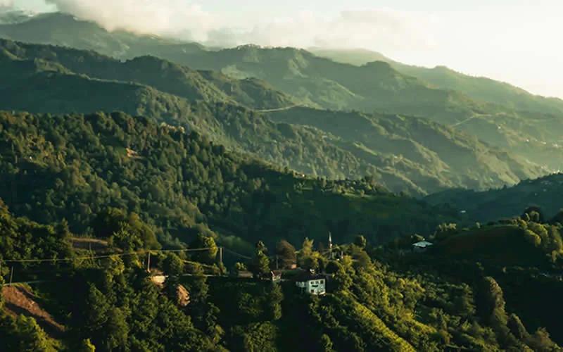 Artvin Hizmetleri